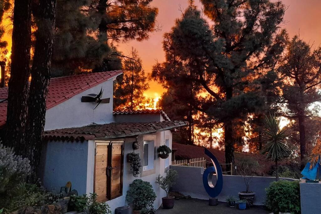 Casa Aguar: Acogedora Casa De Invitados En El Bosque Barrial Exteriör bild