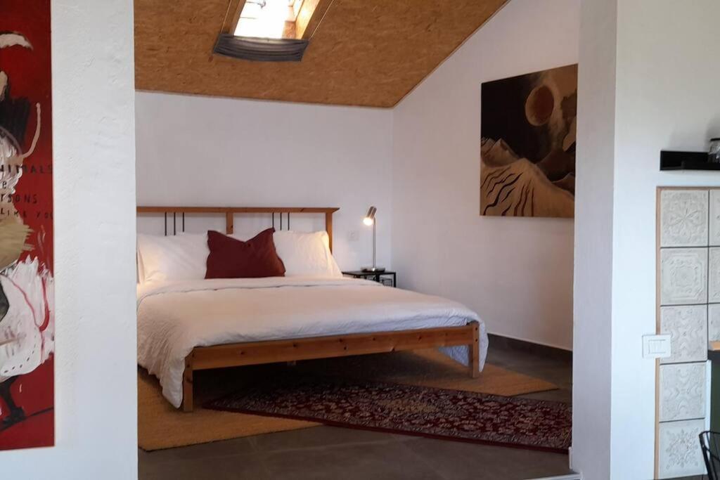Casa Aguar: Acogedora Casa De Invitados En El Bosque Barrial Exteriör bild