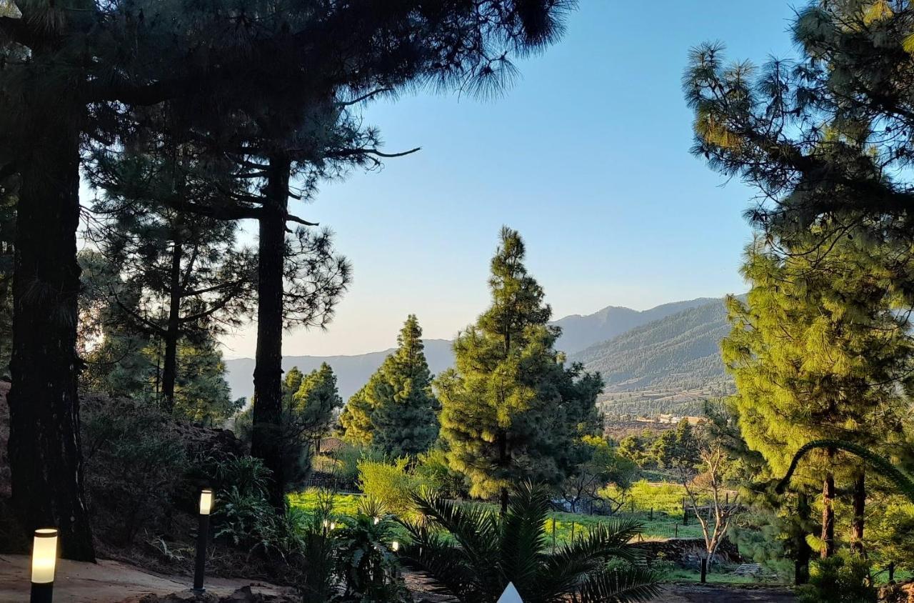 Casa Aguar: Acogedora Casa De Invitados En El Bosque Barrial Exteriör bild