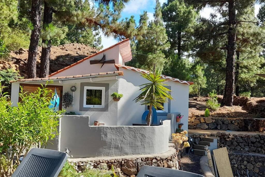 Casa Aguar: Acogedora Casa De Invitados En El Bosque Barrial Exteriör bild