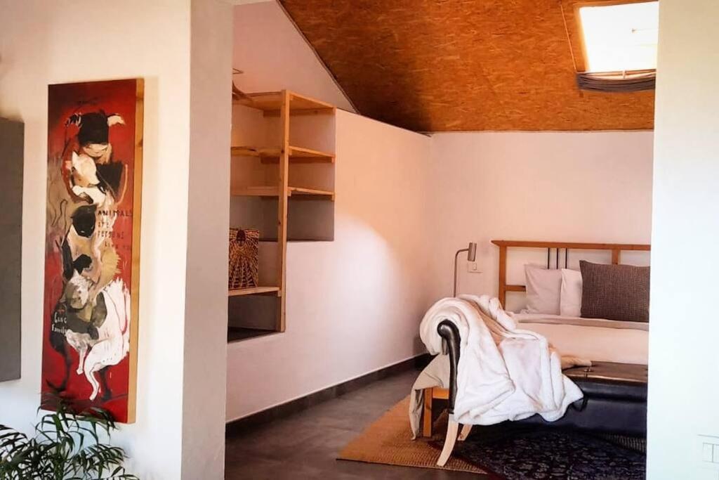 Casa Aguar: Acogedora Casa De Invitados En El Bosque Barrial Exteriör bild