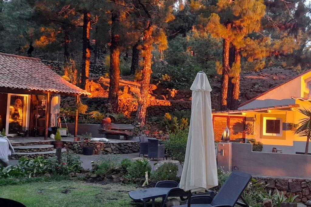 Casa Aguar: Acogedora Casa De Invitados En El Bosque Barrial Exteriör bild