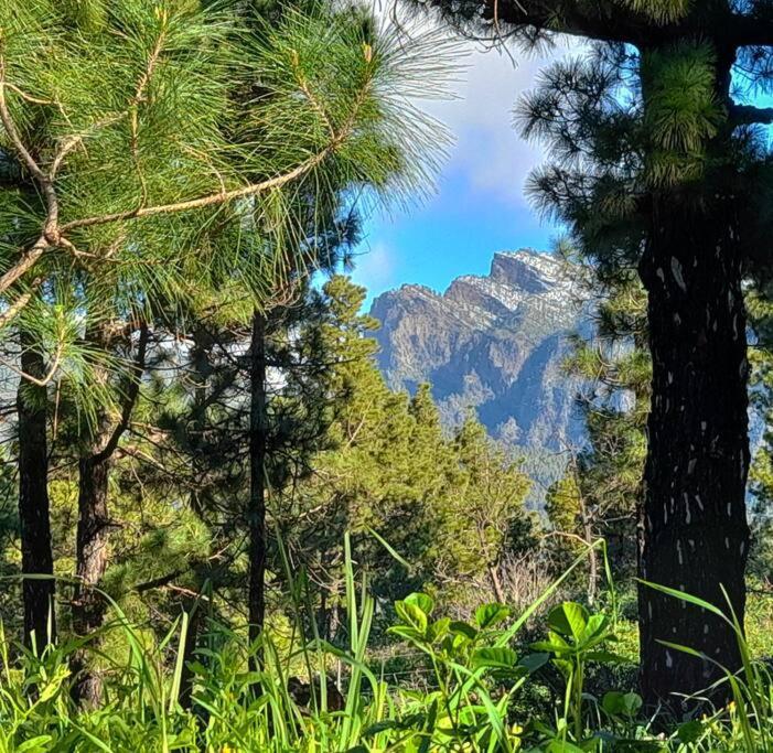 Casa Aguar: Acogedora Casa De Invitados En El Bosque Barrial Exteriör bild